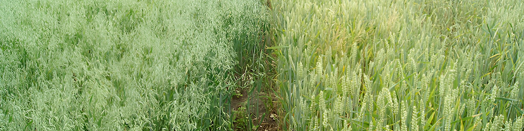 Newsletter Ausgabe 02/2024