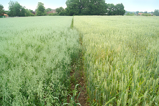 Newsletter Ausgabe 02/2024