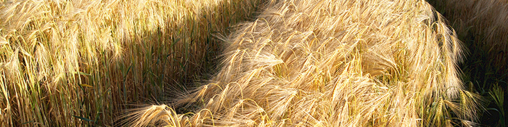 Newsletter Ausgabe 04/2024