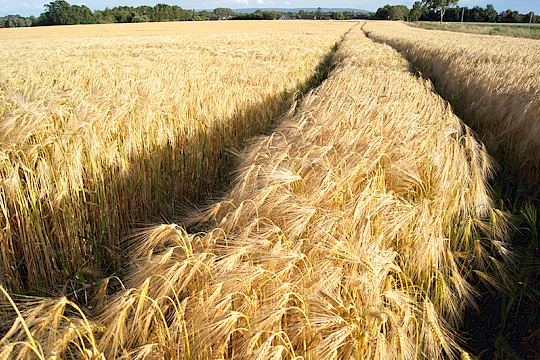 Newsletter Ausgabe 04/2024