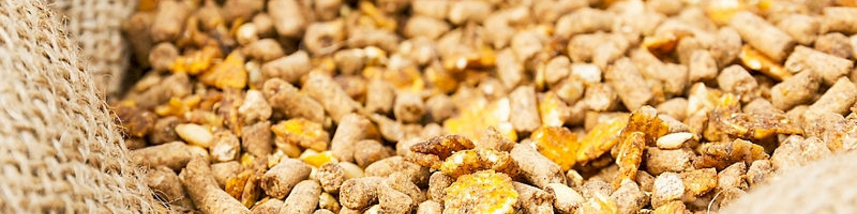 Newsletter Ausgabe 05/2024