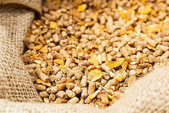 Newsletter Ausgabe 05/2024