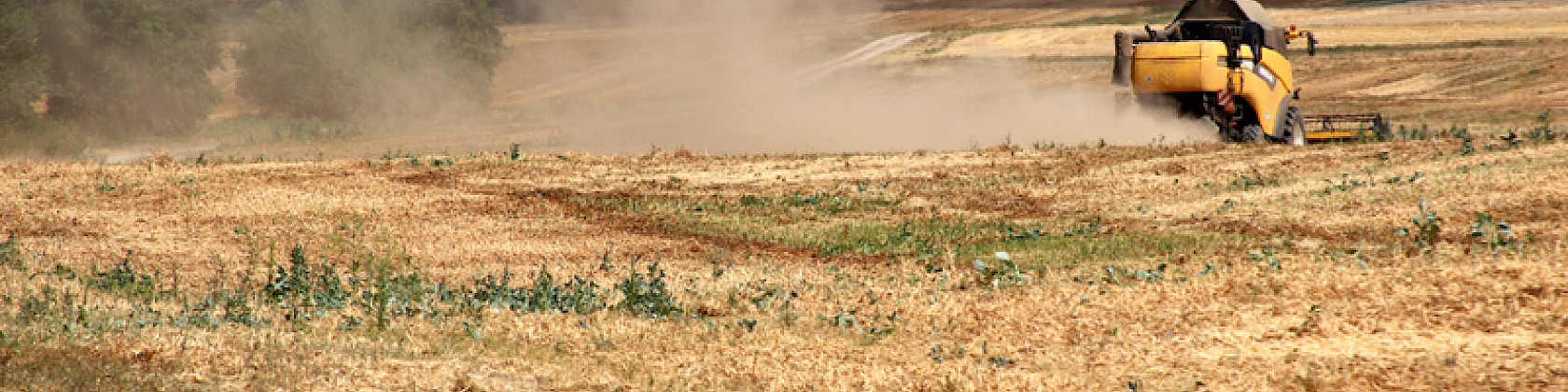 Newsletter Ausgabe 06/2024