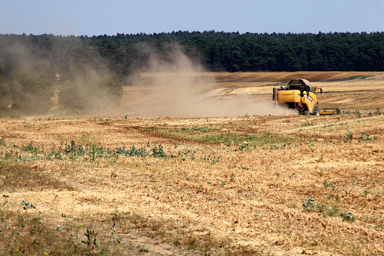 Newsletter Ausgabe 06/2024