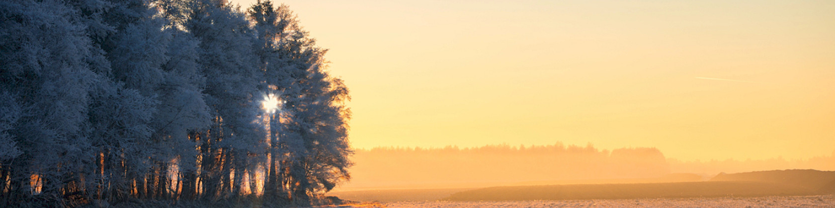 Newsletter Ausgabe 01/2025