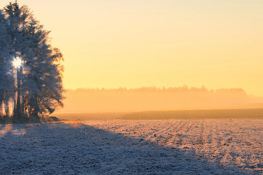 Newsletter Ausgabe 01/2025