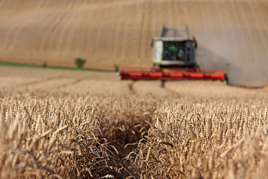 Newsletter Ausgabe 04/2025