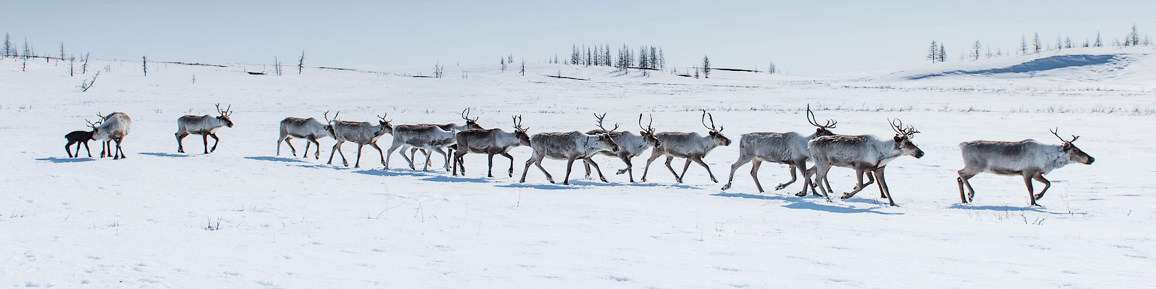 Newsletter Ausgabe 07/2025