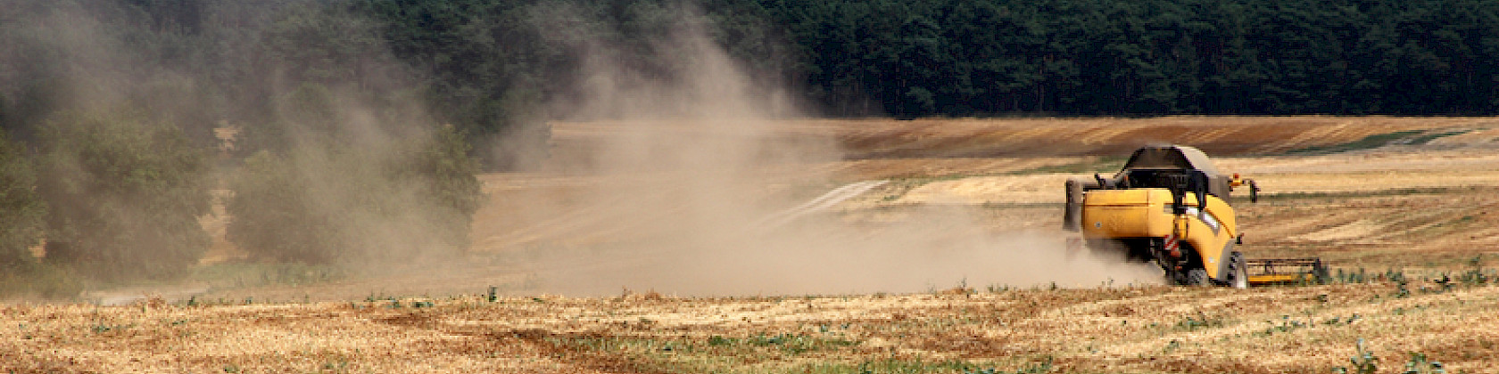 Newsletter Ausgabe 01/2026